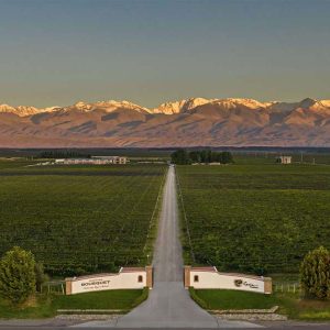 Vinos, Oliva y Cordillera