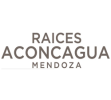 Logo Hotel Aconcagua